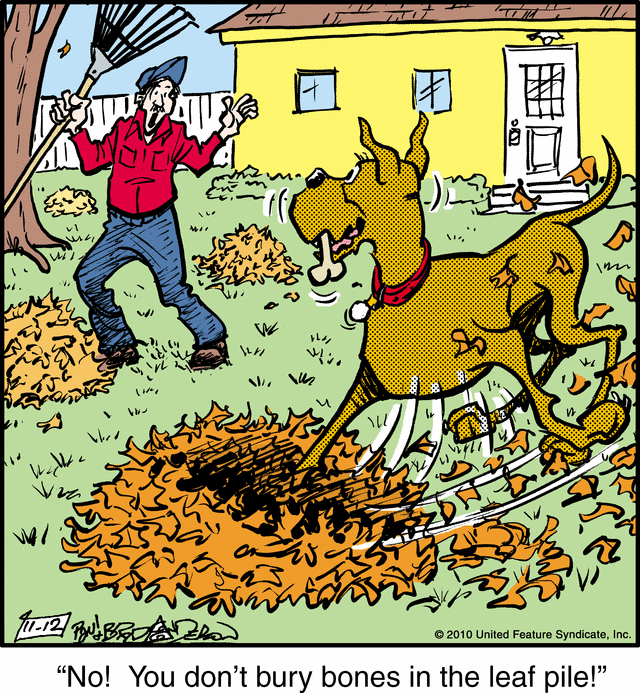 marmaduke